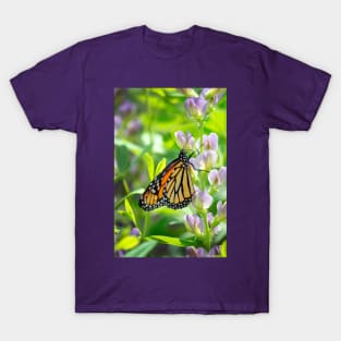 Monarch butterfly enjoys a sip from a flower T-Shirt